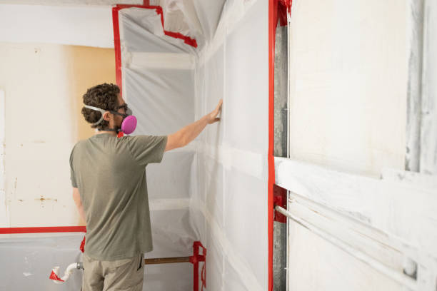 Best Dehumidification Services  in North Fort Myers, FL