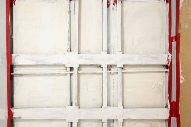 Best Water Damage & Mold Remediation  in North Fort Myers, FL