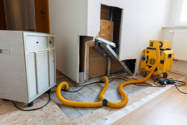 Trusted North Fort Myers, FL Mold Removal Experts